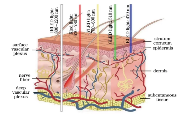 1766655736265981.png image.png